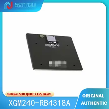 1ШТ 100% Новый оригинальный XGM240-RB4318A MGM240S, трансивер xGM240S; 802.15.4 (ZigBee®), оценочная плата Bluetooth® 5 2,4 ГГц